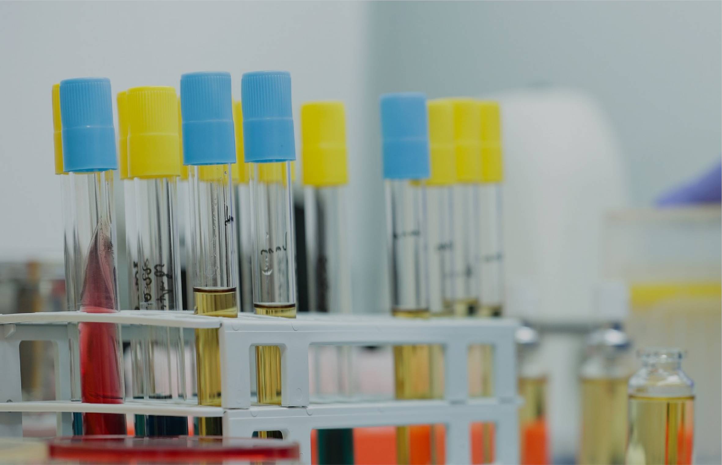 Georgian Biopharmaceutical Cluster